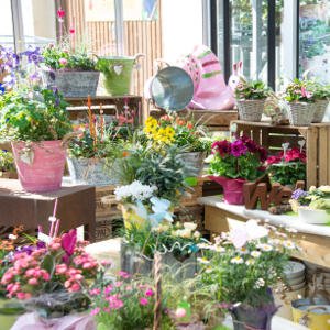 Floristik, Topfpflanzen und Deko für Ihren Garten bei Gärtnerei Weißer's Floraparadies